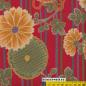 Preview: Kyo Momen rot
